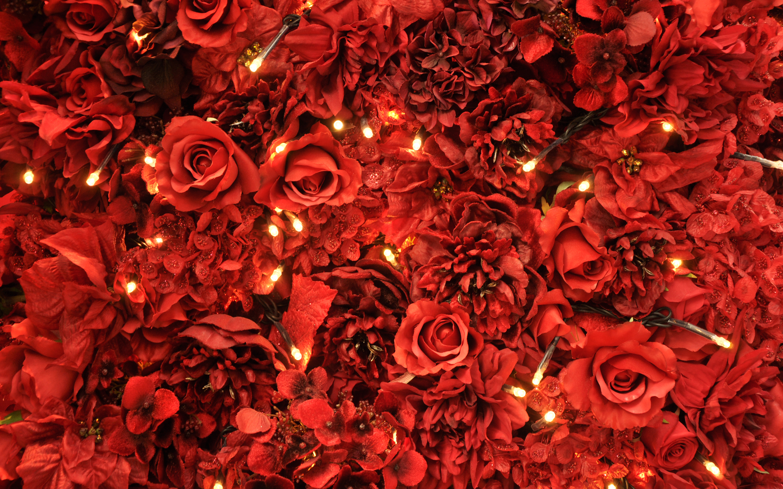 Red Roses Lights7378914841